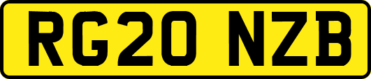 RG20NZB