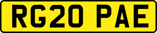 RG20PAE