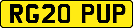 RG20PUP