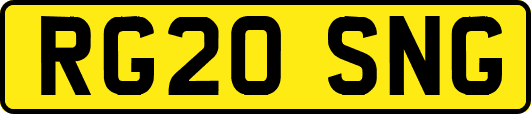 RG20SNG