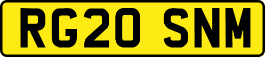 RG20SNM