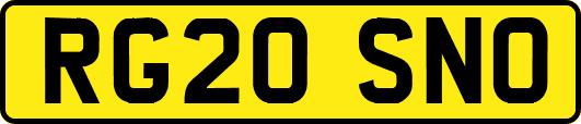 RG20SNO