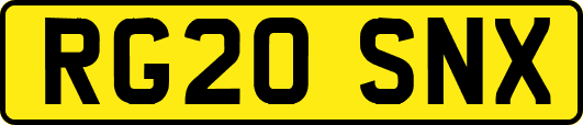 RG20SNX