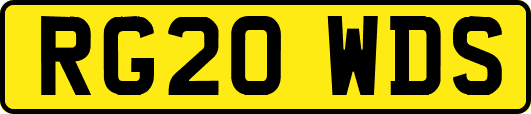 RG20WDS