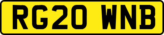 RG20WNB