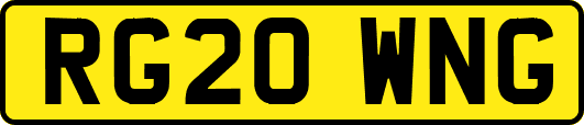 RG20WNG
