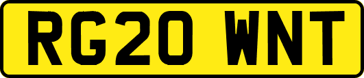 RG20WNT