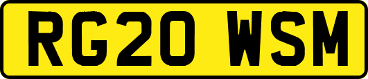 RG20WSM