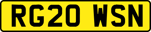 RG20WSN