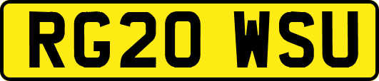 RG20WSU