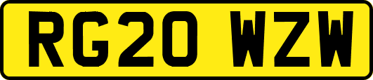 RG20WZW