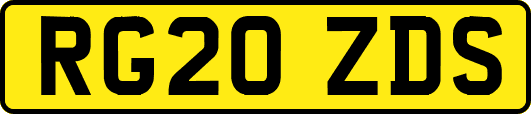 RG20ZDS