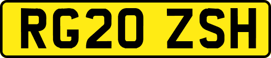 RG20ZSH