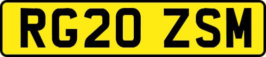 RG20ZSM