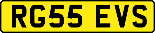 RG55EVS