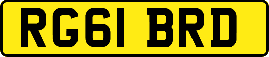 RG61BRD