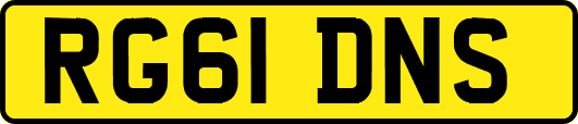 RG61DNS