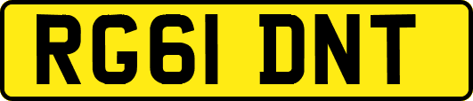 RG61DNT