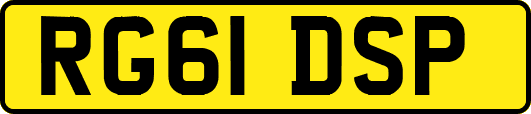 RG61DSP