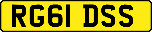 RG61DSS