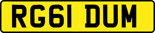 RG61DUM