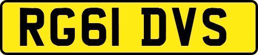 RG61DVS