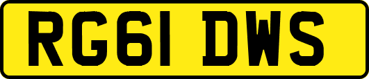 RG61DWS