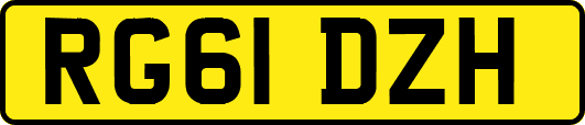 RG61DZH