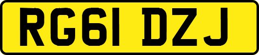 RG61DZJ