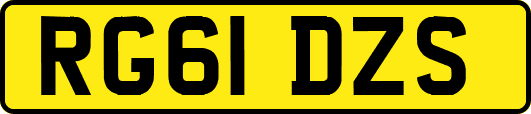 RG61DZS