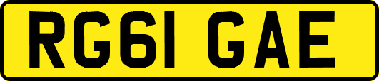 RG61GAE