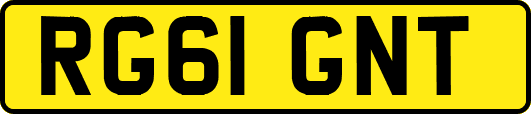 RG61GNT