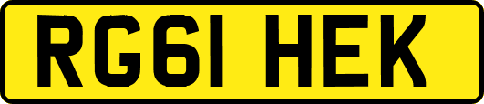 RG61HEK