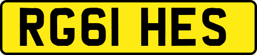 RG61HES