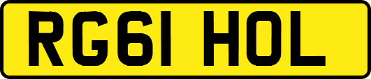 RG61HOL