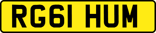 RG61HUM