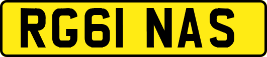RG61NAS