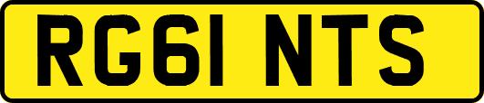RG61NTS