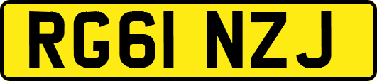 RG61NZJ