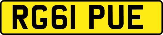 RG61PUE