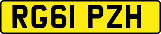 RG61PZH