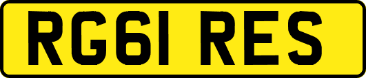 RG61RES