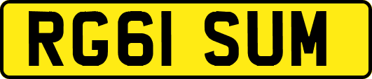 RG61SUM