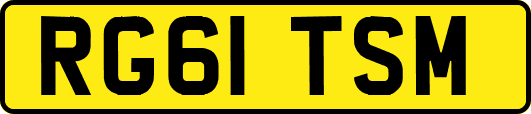 RG61TSM