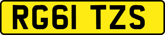 RG61TZS