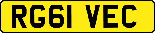 RG61VEC