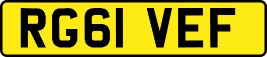 RG61VEF