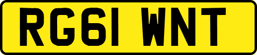RG61WNT