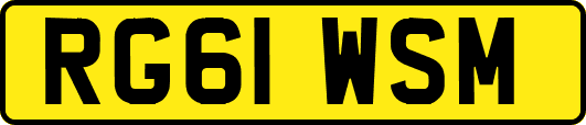 RG61WSM