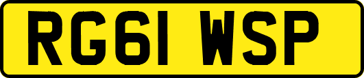 RG61WSP